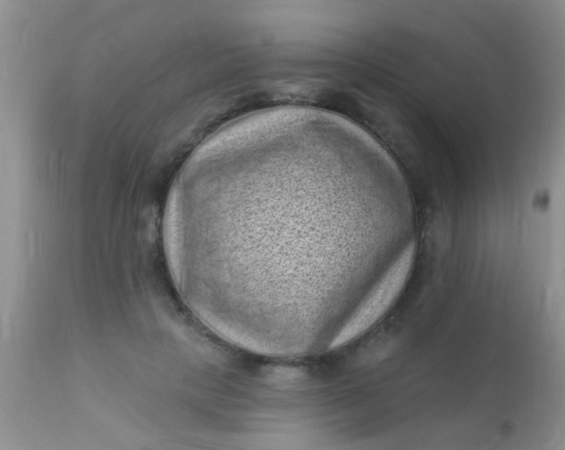 X0000110940649200907022134