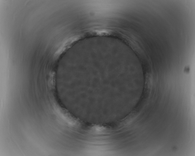 X0000110940650200907022134