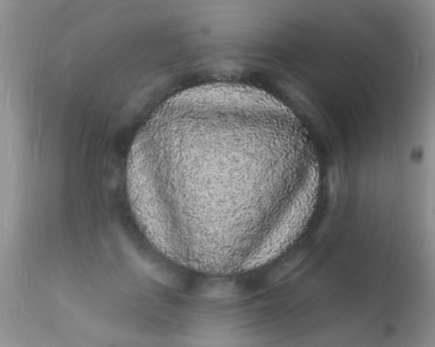 X0000110940651200907022134