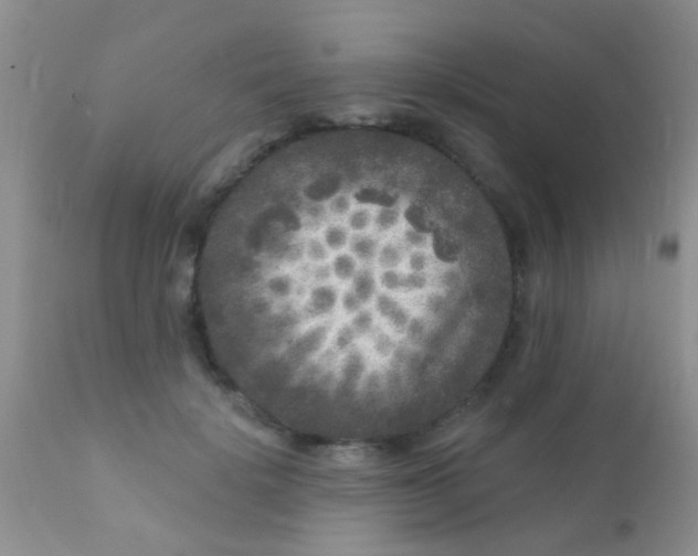 X0000110940652200907022134