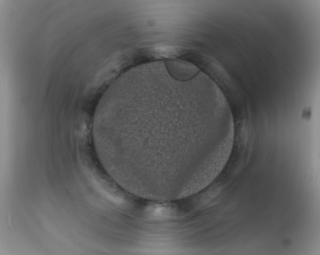 X0000110940655200907022134