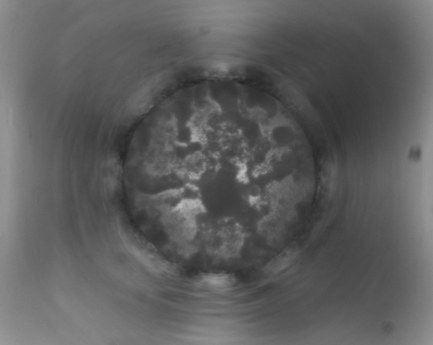 X0000110940659200907022134