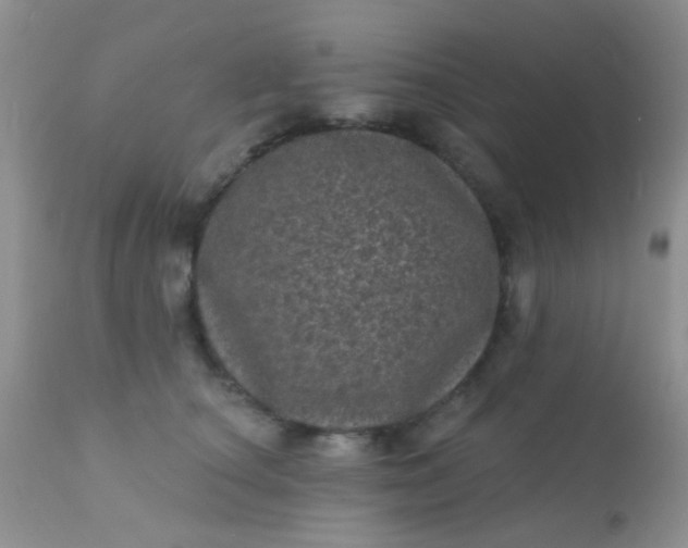 X0000110940660200907022134