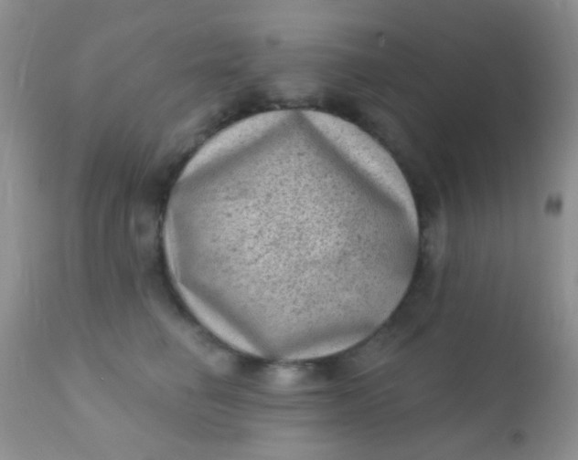 X0000110940662200907022134