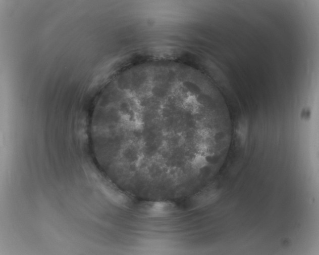 X0000110940663200907022134