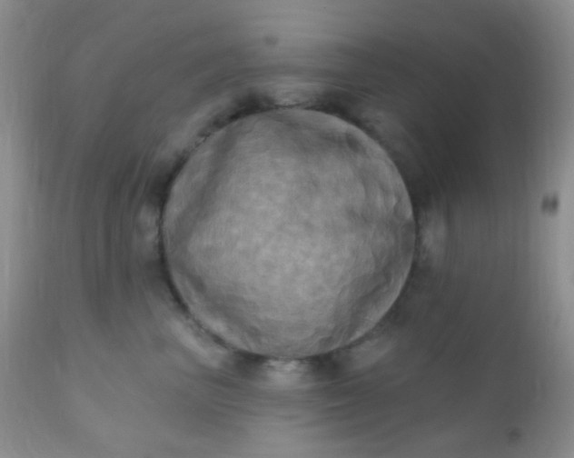 X0000110940667200907022134