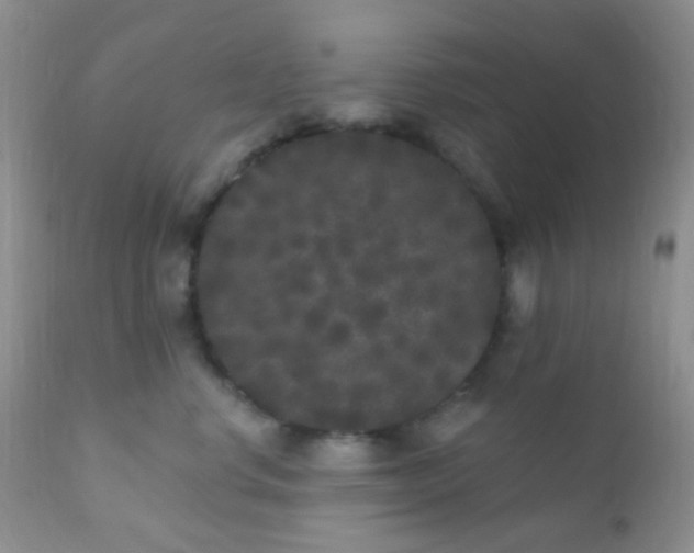 X0000110940668200907022134