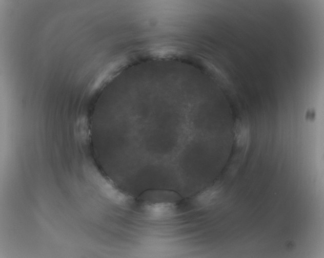 X0000110940670200907022134