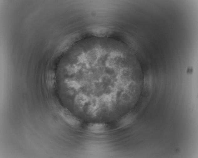 X0000110940671200907022134