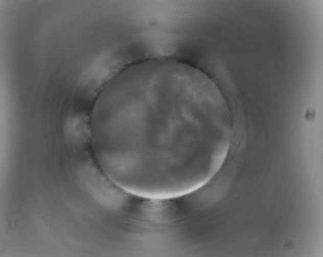 X0000110940672200907022134