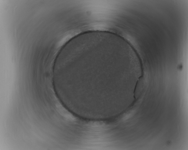 X0000110940673200907022134