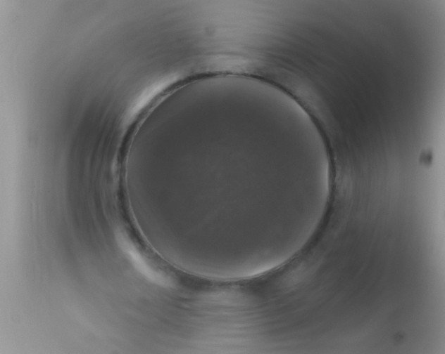 X0000110940674200907022134