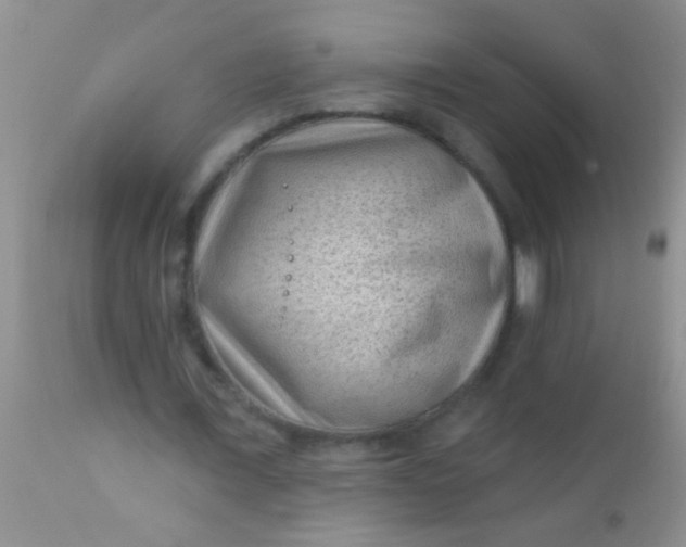 X0000110940675200907022134