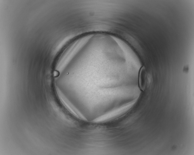 X0000110940676200907022134