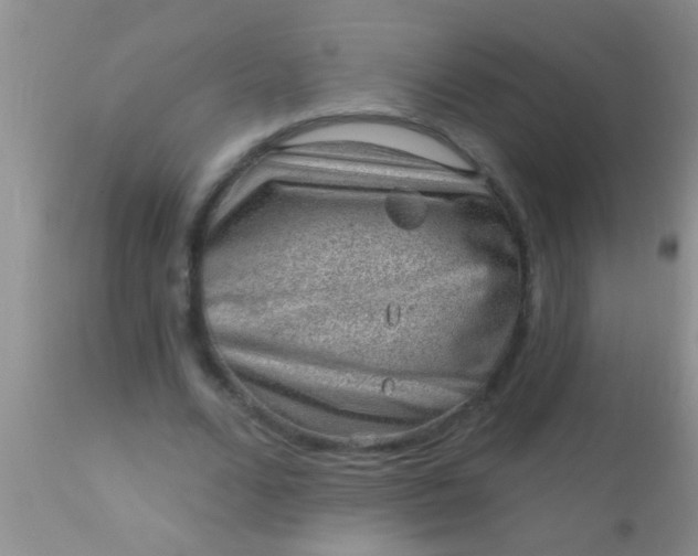 X0000110940680200907022134