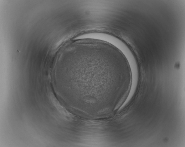 X0000110940681200907022134