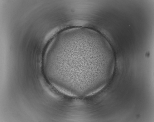 X0000110940682200907022133