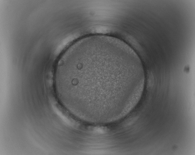 X0000110940683200907022133