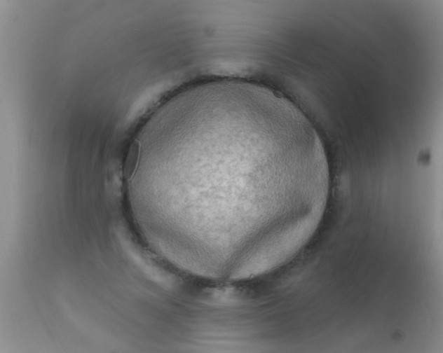 X0000110940688200907022133