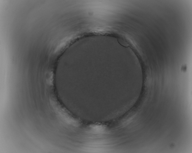 X0000110940689200907022133