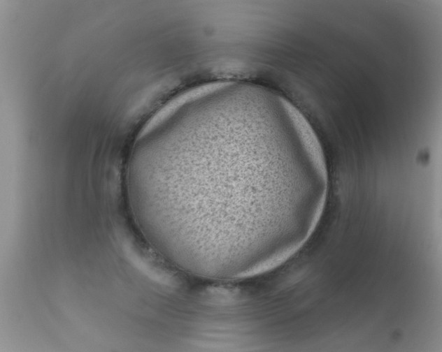 X0000110940690200907022133