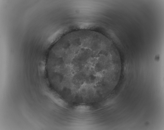 X0000110940691200907022133