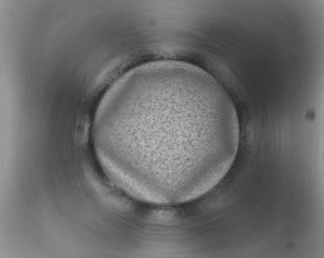 X0000110940694200907022133