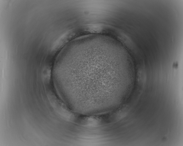 X0000110940697200907022133