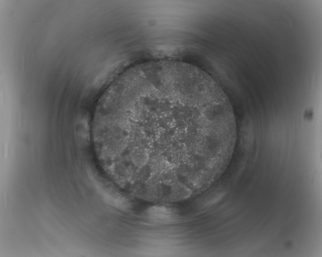 X0000110940699200907022133