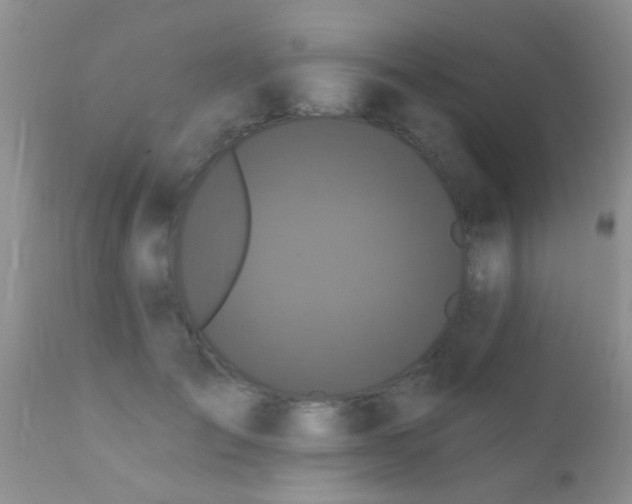 X0000110940701200907022133