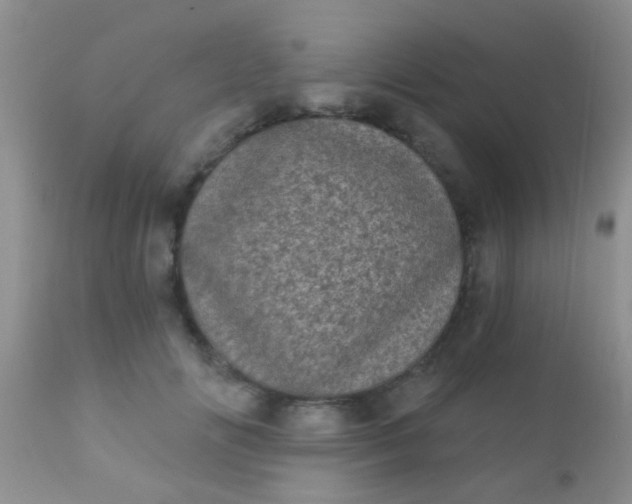 X0000110940702200907022133