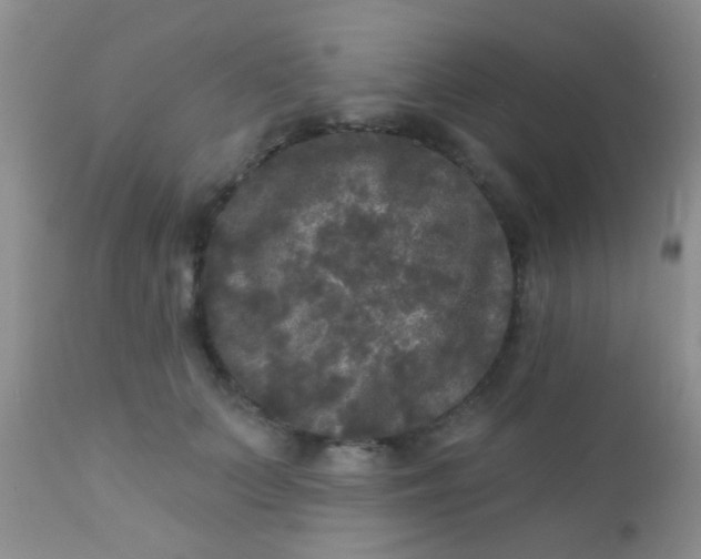 X0000110940703200907022133