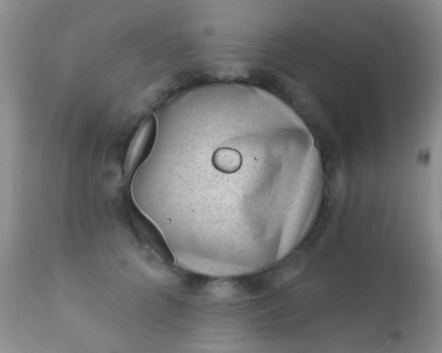 X0000110940704200907022133