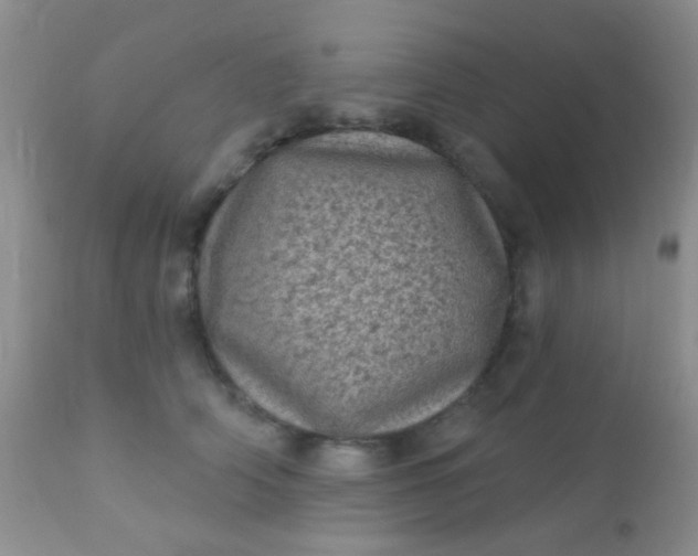 X0000110940706200907022133