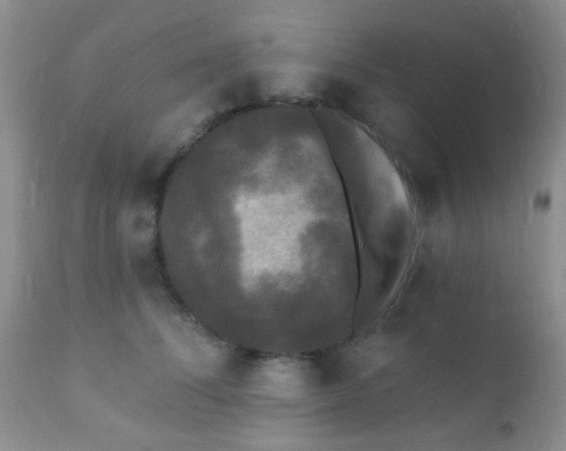 X0000110940708200907022133