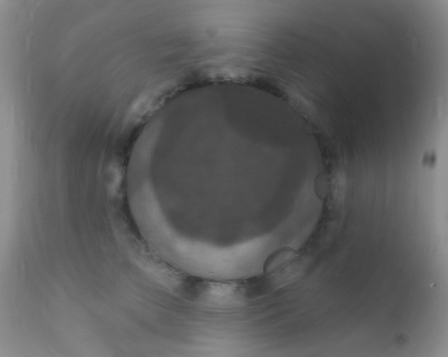 X0000110940709200907022133