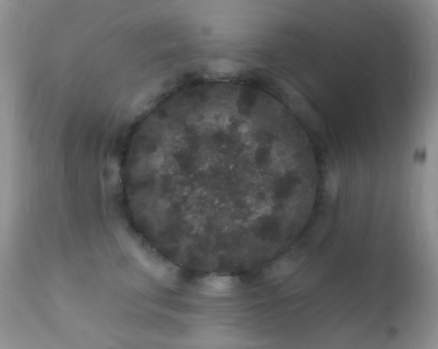 X0000110940711200907022133