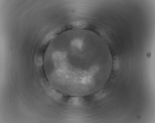 X0000110940713200907022133