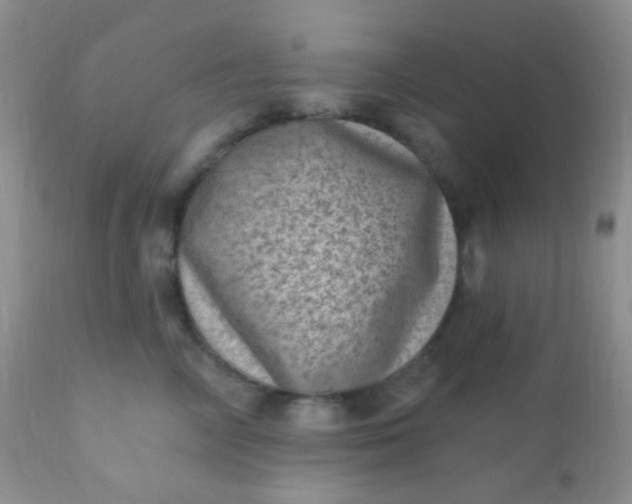 X0000110940714200907022133