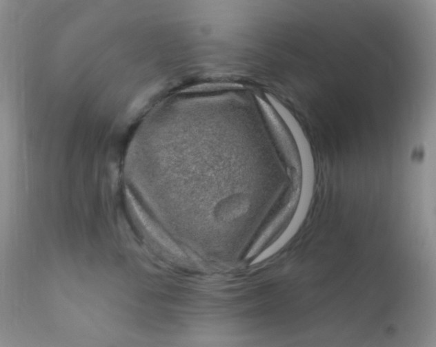 X0000110940716200907022133