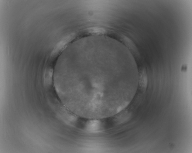 X0000110940717200907022133