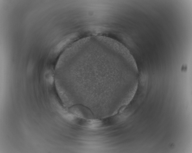 X0000110940719200907022133