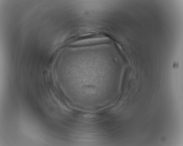 X0000110940720200907022133