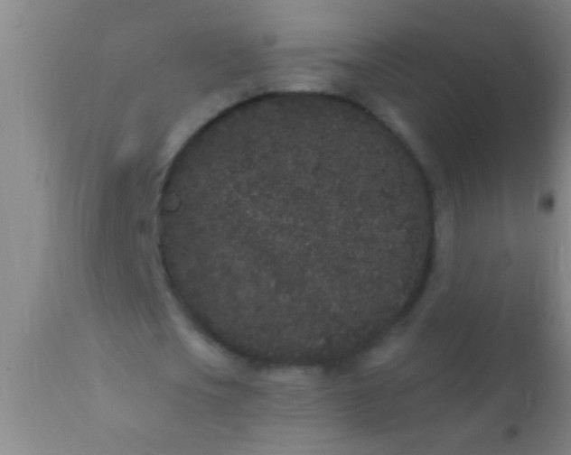 X0000110940721200907022132