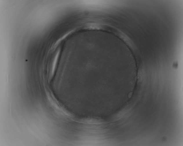 X0000110940722200907022132