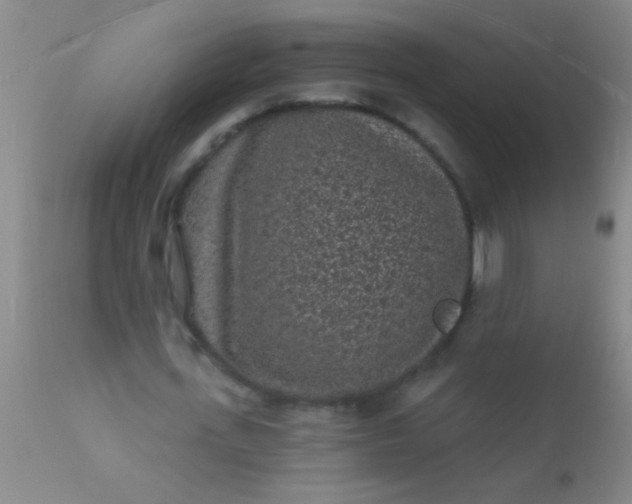 X0000110940723200907022132