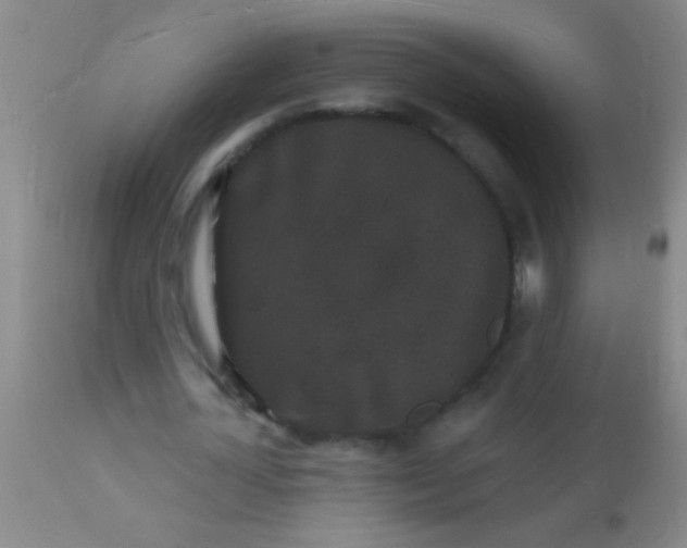 X0000110940724200907022132