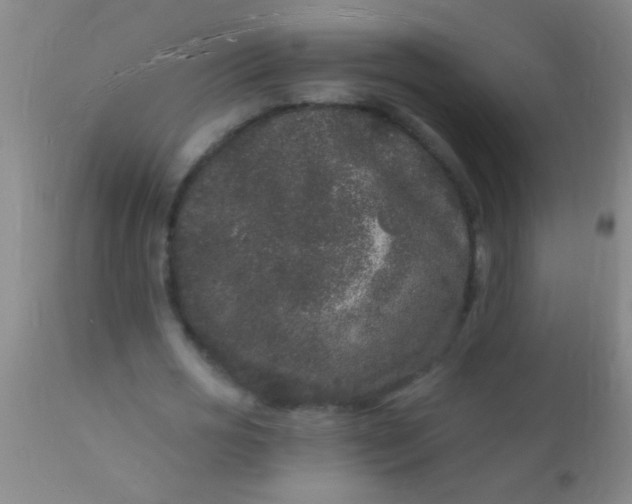 X0000110940725200907022132