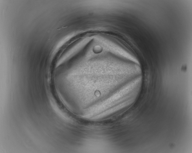 X0000110940726200907022132