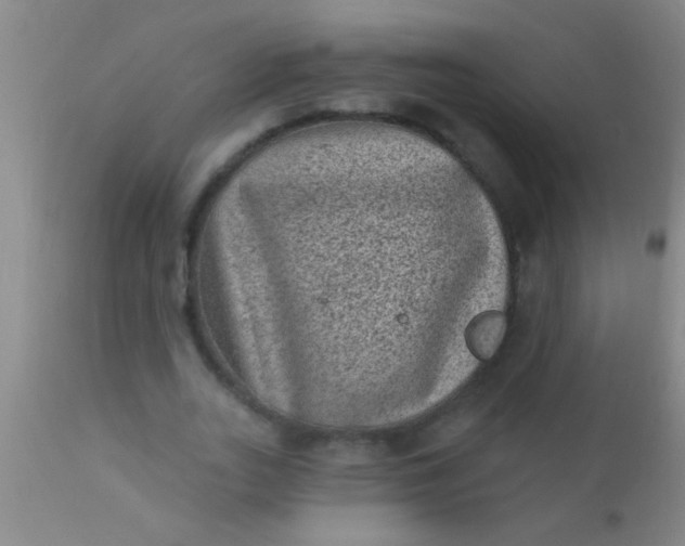 X0000110940727200907022132